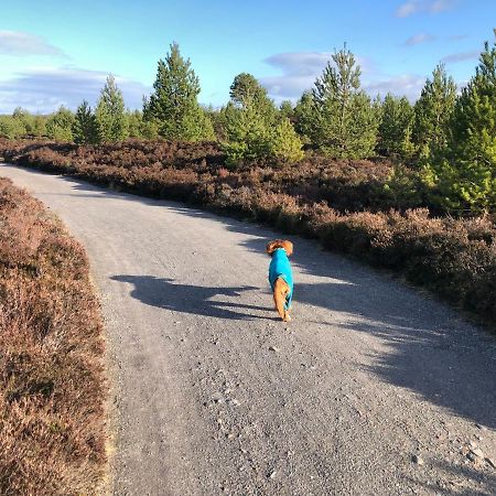 Ventoux Vila Aviemore Exterior foto